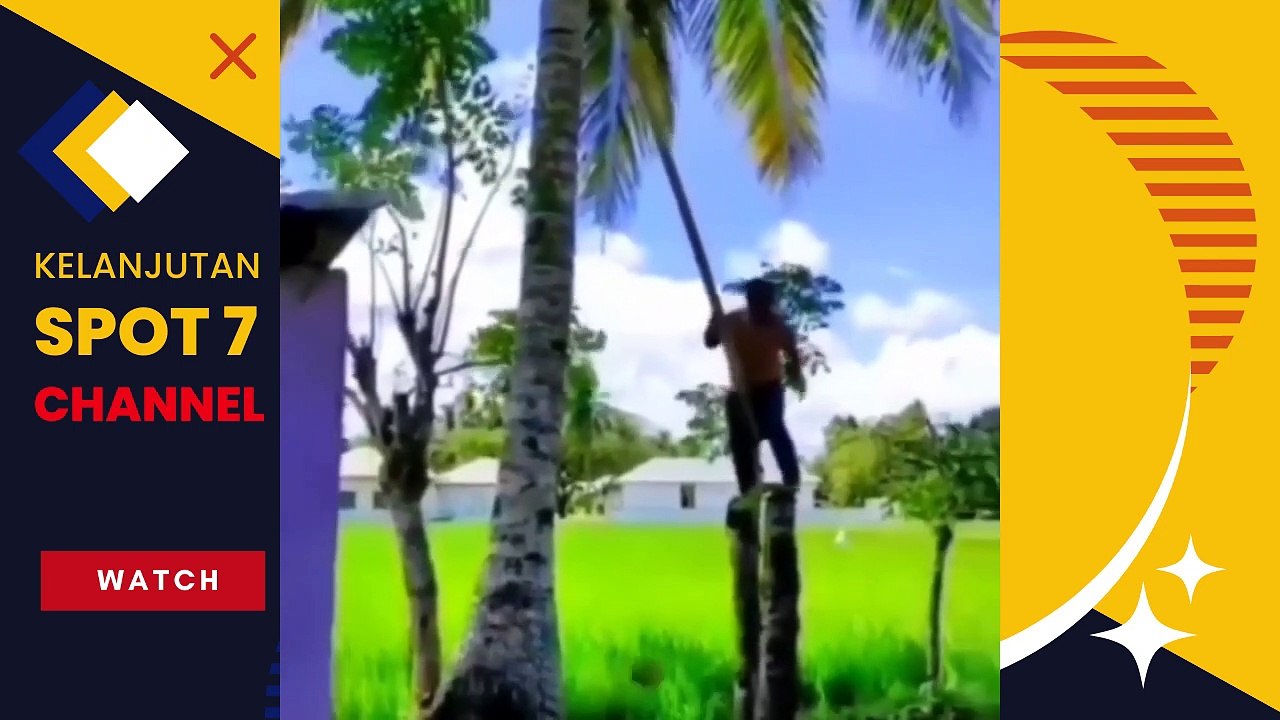 Kumpulan Video Lucu Video Lucu Bikin Ngakak Terbaru 2022  Video Lucu Bikin Ngakak Sakit Perut 