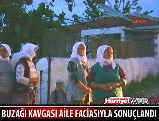 BUZAĞI KAVGASI FACİAYA DÖNÜŞTÜ