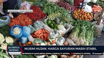 Musim Hujan, Harga Sayuran Masih Stabil