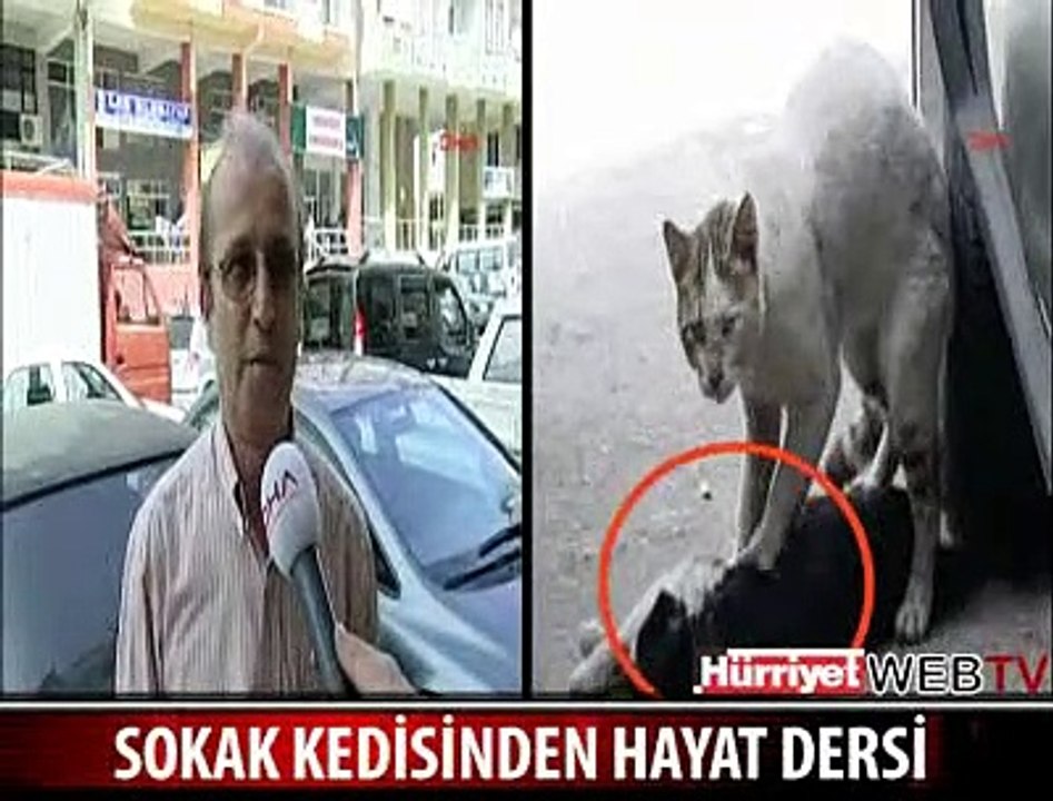 ÖLEN DİŞİSİNE KALP MASAJI YAPTI