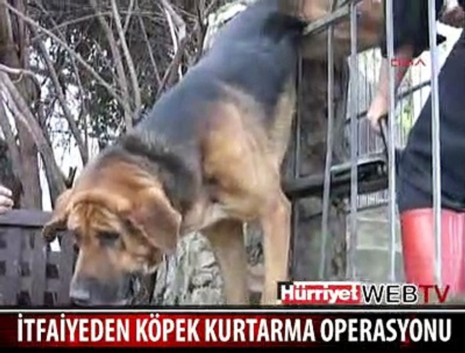 KURTARILIRKEN AĞLADI