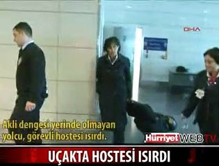 İŞTE THY HOSTESİNİ ISIRAN ADAM