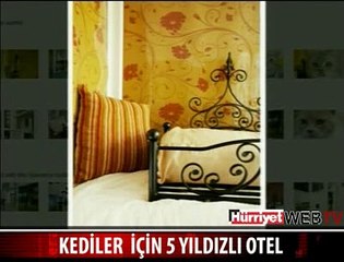 KEDİLER İÇİN 5 YILDIZLI OTEL