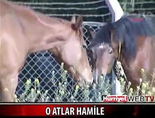 TECAVÜZCÜ ATA TARLA SÜRME CEZASI