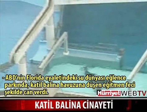 KATİL BALİNA EĞİTMENİ ÖLDÜRDÜ