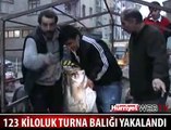 123 KİLOLUK TURNA BALIĞI YAKALANDI