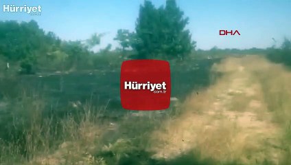 Edirne'de orman yangını