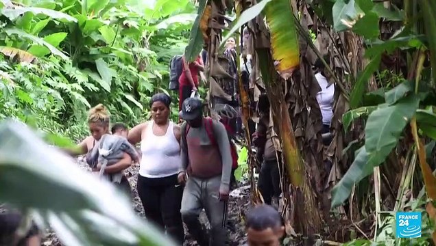 El Tapón del Darién, un reto más para los migrantes que buscan llegar a Norteamérica