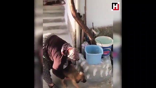 Anadolu insanının hayran bırakan saflığı ve güzelliği