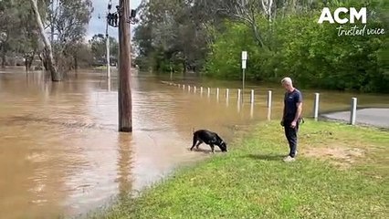 Wangaratta flooding | The Border Mail | October 15, 2022