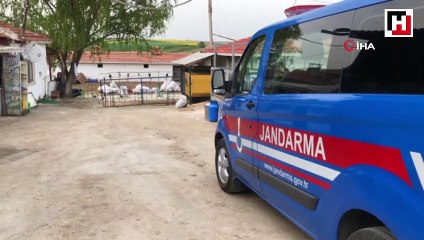 Koyun kırparken elektrik akımına kapıldılar: Ölü ve yaralılar var