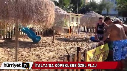 “Köpeği olmayan giremez” plajı