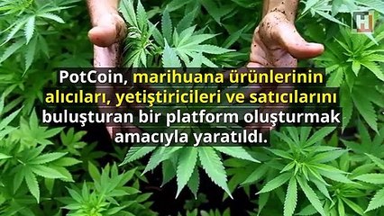 Hepsine çok şaşıracaksınız! İşte dünyanın en tuhaf kripto paraları