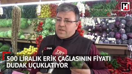 Fiyatı dudak uçuklatıyor! Tam 500 TL'ye satılıyor