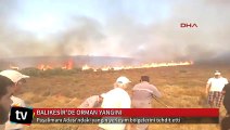 Paşalimanı Adası'ndaki yangın yerleşim bölgelerine doğru ilerliyor