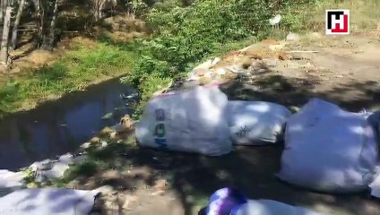 Ergene zehir akıyor