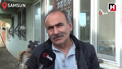 Köpek kediyi emzirip, annelik yapıyor