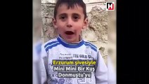 Erzurum şivesiyle şarkı söyleyen ufaklık sosyal medyayı salladı!
