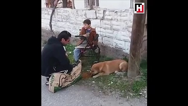 Köpeğine mama verilen engelli çocuğun mutluluğu!