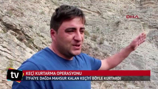İtfaiyeden keçi kurtarma operasyonu