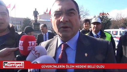 Kırıkkale’deki güvercinlerin ölüm nedeni belli oldu!