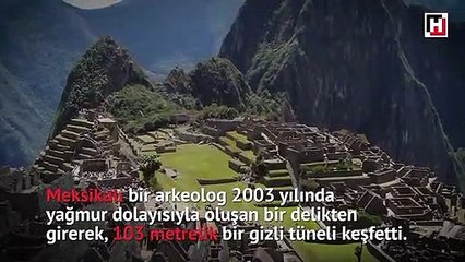 “Sakallı yılan”ın 1800 yıllık sırrı
