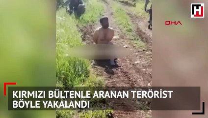 Kırmızı bültenle aranan terörist böyle yakalandı