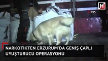 Erzurum'da geniş çaplı uyuşturucu operasyonu