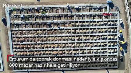 Son dakika haberler: Erzurum'da şaşırtan görüntü!