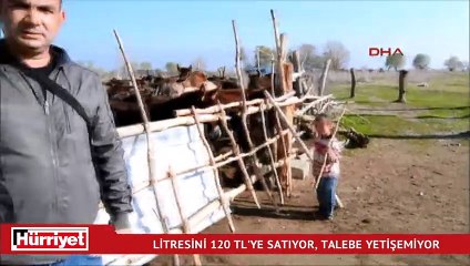 Litresini 120 TL'ye satıyor, talebe yetişemiyor