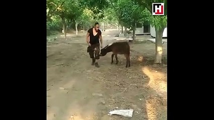 Hayko Cepkin'in çok konuşulan görüntüleri!