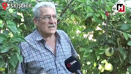 Bu meyvenin adını bilen yok