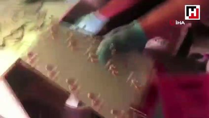 Sahte dolar operasyonuyla ilgili yeni görüntüler ortaya çıktı