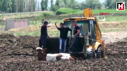 6 inek iş makineleri ile saatler süren çalışmanın ardından kurtarıldı