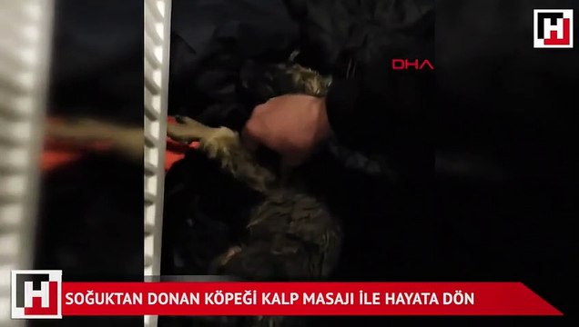 Soğuktan donan köpeği kalp masajı ile hayata döndürdü