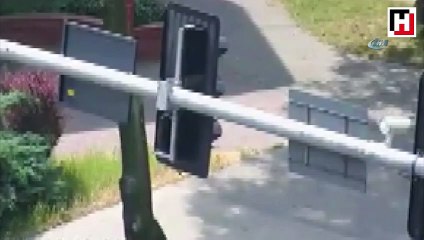 Ördek ailesine zabıta eskortu