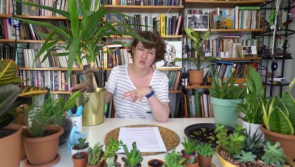 NASA açıkladı: Evdeki havayı temizleyen bitkiler