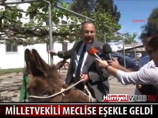 MECLİS'E EŞEKLE GELDİ