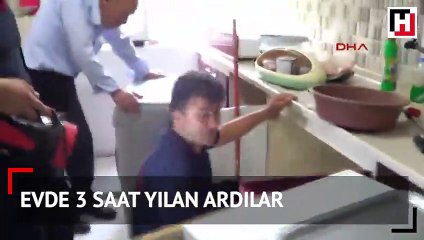 Evde 3 saat yılan aradılar