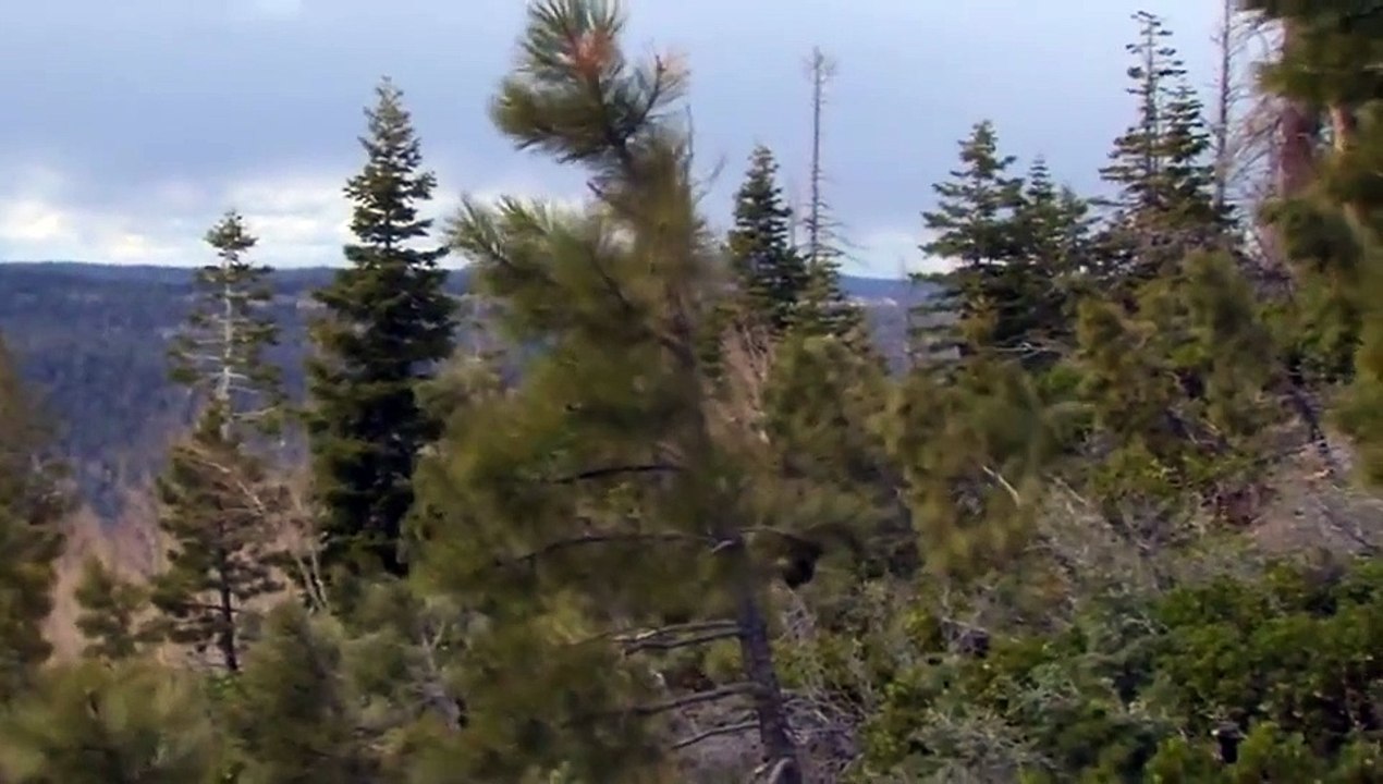 Abenteuer Survival Staffel 8 Folge 4 HD Deutsch