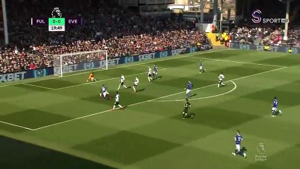 Fulham 2-0 Everton (MAÇ ÖZET)