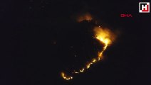 Giresun'daki orman yangınında 10 hektarlık alan zarar gördü