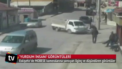 Köpek insanlara örnek oldu