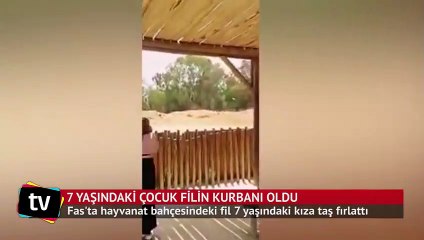 7 yaşındaki çocuk filin kurbanı oldu