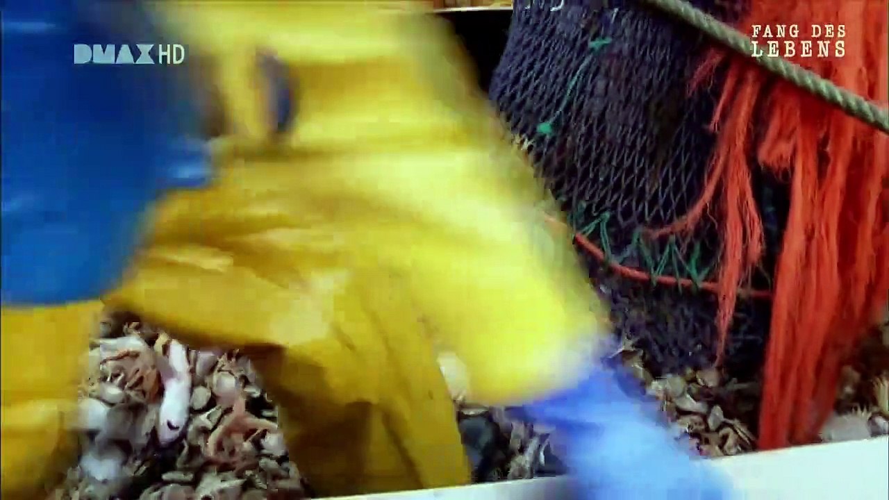 Fang des Lebens - Die Atlantik-Fischer Staffel 1 Folge 1 HD Deutsch