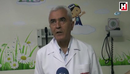 Prof. Dr. Selim Kurtoğlu: "Türkiye’de et yiyen örümcek yok"