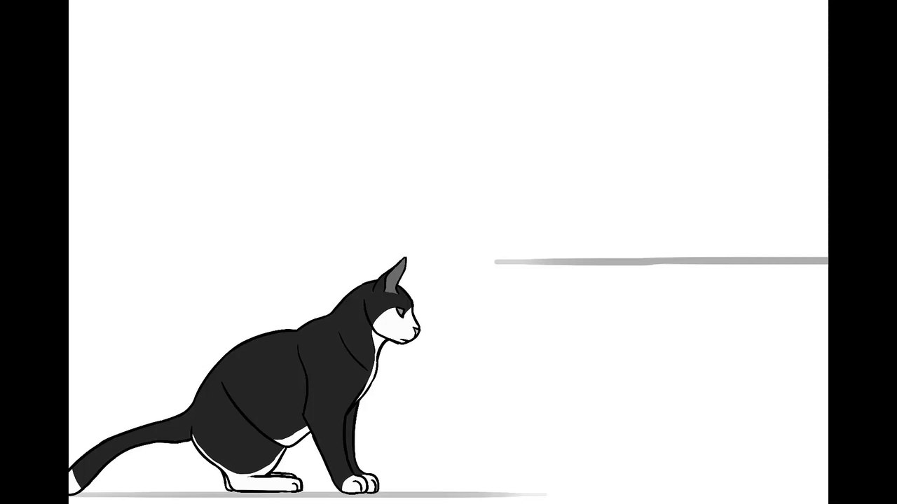 Black Cat jumping on the hat