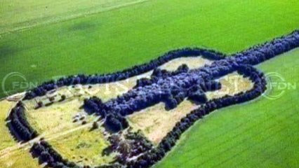Did You Know? The Guitar - Shaped Forest || FACTS || TRIVIA