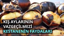 Kış aylarının vazgeçilmezi kestanenin faydaları