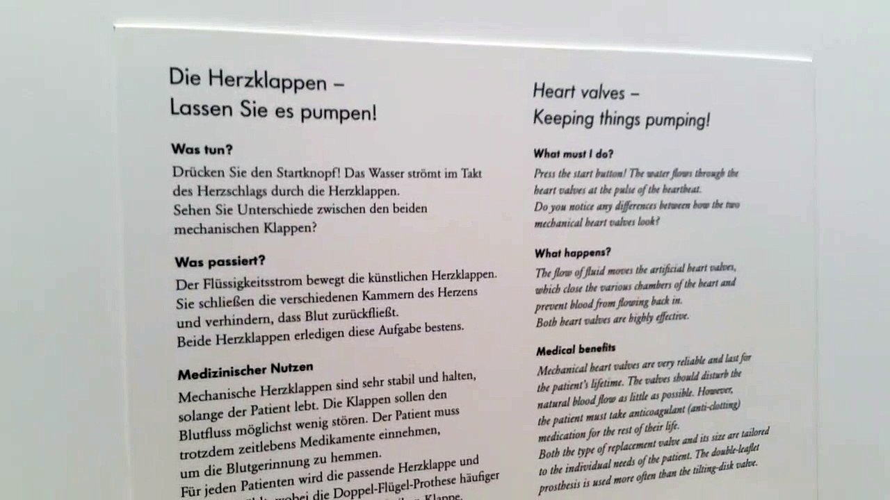 Herzklappen - Muesum